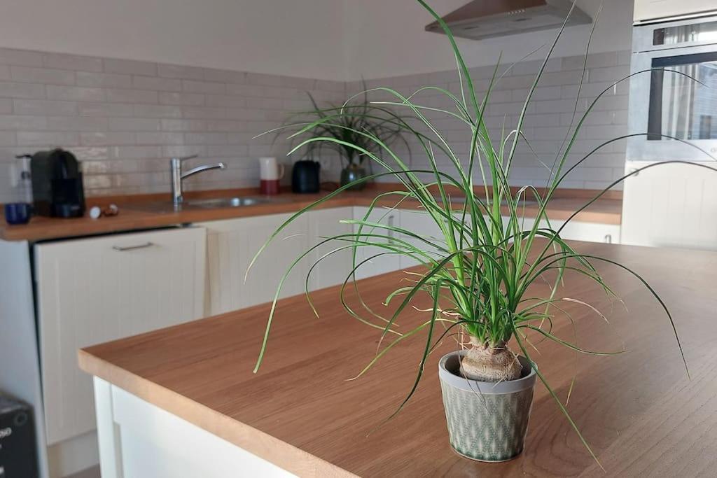 Ferienwohnung Stern Unterthingau Kültér fotó